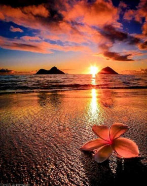 KANALU BEACH APPATEMENT